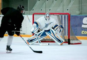 Ice hockey match