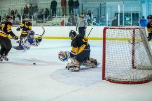 Ice hockey players